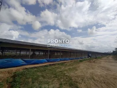 Fazenda/Sítio com 4 Quartos à venda, 265m² no Alto José Leal, Vitória de Santo Antão