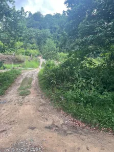 à venda, 25000m² no Guabiraba, Recife