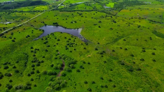 Fazenda/Sítio à venda, 1500000m² no Itabaiana, Itabaiana