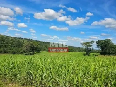 Fazenda/Sítio à venda, 500m² no , Itapirapuã