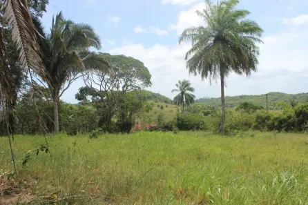 Fazenda/Sítio à venda, 201000m² no Açu da Torre, Mata de São João
