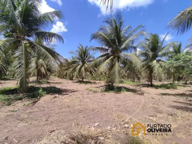 Lote/Terreno à venda, 34000m² no , Paraipaba