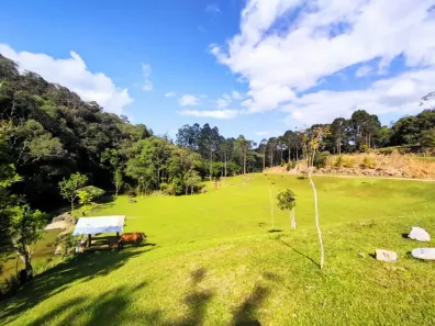 Fazenda/Sítio à venda, 72000m² no Colônia Antônio Prado, Almirante Tamandaré