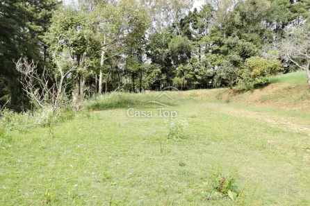 Lote/Terreno à venda, 10m² no Cará-cará, Ponta Grossa