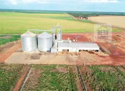 Fazenda/Sítio à venda, 118290000m² no , Jussara