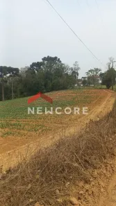 Fazenda/Sítio com 4 Quartos à venda, 140m² no Área Rural de São José dos Pinhais, São José dos Pinhais