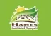 Miniatura da foto de Imobiliária Hames