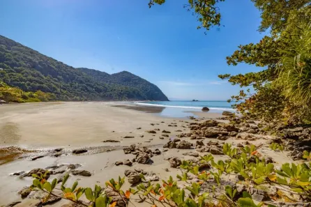 Lote/Terreno à venda, 2501m² no Balneario Praia do Perequê, Guarujá