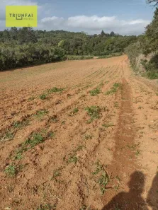 Lote/Terreno à venda, 6386m² no Piedade, Piedade