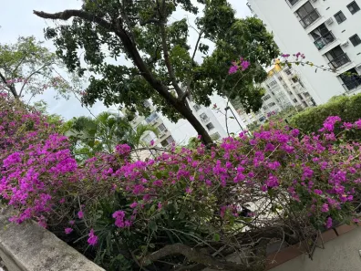 Apartamento com 3 Quartos para alugar, 94m² no Laranjeiras, Rio de Janeiro