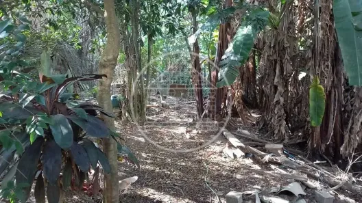 à venda, 2060m² no Vila Carmosina, São Paulo