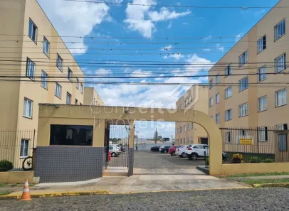 Apartamento com 3 Quartos à venda, 49m² no Colônia Dona Luíza, Ponta Grossa