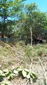 Lote/Terreno à venda, 590m² no Praia Seca, Araruama