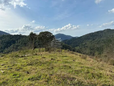 Lote/Terreno à venda, 110000m² no Angelina, Angelina