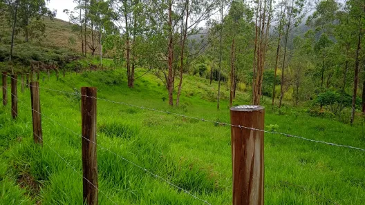 Fazenda/Sítio com 1 Quarto à venda, 240000m² no Pouso Frio, Taubaté