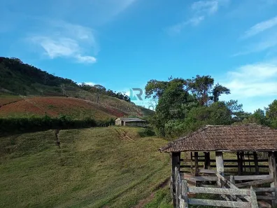à venda, 1m² no , Maria da Fé