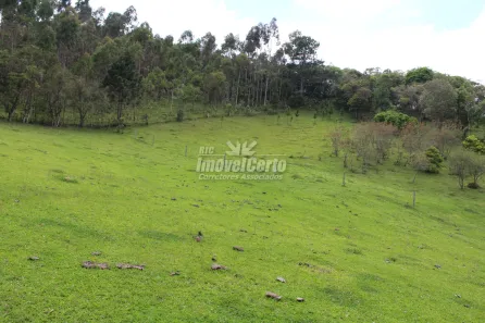 Fazenda/Sítio à venda, 260300m² no Campo Magro, Campo Magro