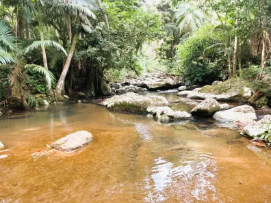 Fazenda/Sítio com 4 Quartos à venda, 80000m² no Zona Rural, Rodeio