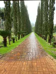 Fazenda/Sítio com 3 Quartos à venda, 48500m² no Residencial Triunfo, Goianira