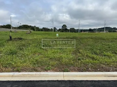 Lote/Terreno à venda, 250m² no Centro, Piraquara