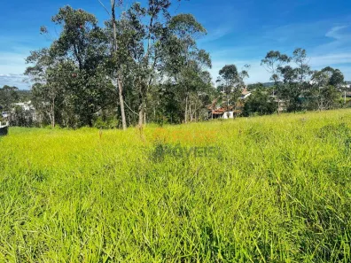 Lote/Terreno à venda, 560m² no Laranjinha, Criciúma