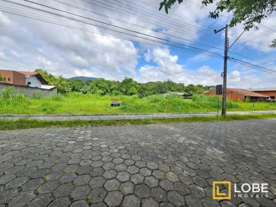 Lote/Terreno à venda, 5000m² no Passo Manso, Blumenau