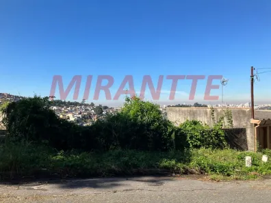 Lote/Terreno à venda, 318m² no Tucuruvi, São Paulo