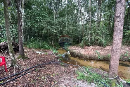 Fazenda/Sítio com 2 Quartos à venda, 15050m² no Área Rural de Araguaína, Araguaína