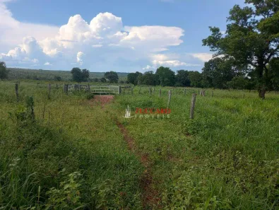 Fazenda/Sítio com 5 Quartos à venda, 500m² no Centro, Santa Rita do Pardo
