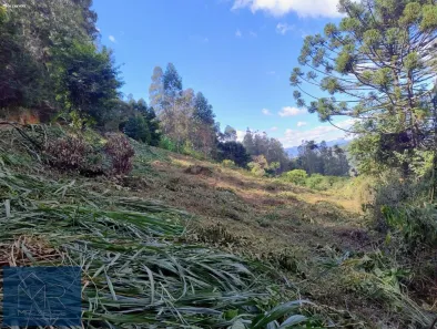 Lote/Terreno à venda, 2000m² no Grotão, Gonçalves