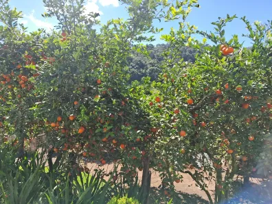 Casa com 3 Quartos à venda, 80m² no Parque Boa União, Teresópolis
