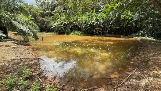 Fazenda/Sítio com 5 Quartos à venda, 5m² no , Bela Vista de Goiás