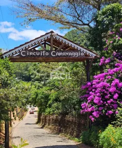 Fazenda/Sítio com 3 Quartos à venda, 240m² no Santa Teresa, Santa Teresa