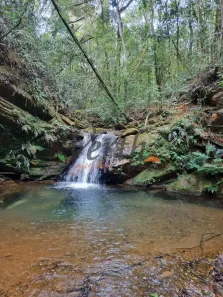 com 1 Quarto à venda, 59000m² no Centro, Rio Acima