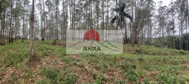 Lote/Terreno à venda, 54000m² no Bonsucesso, Guarulhos