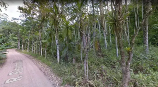Fazenda/Sítio à venda, 6045m² no Testo Central, Pomerode
