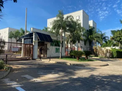 Apartamento com 2 Quartos para alugar, 39m² no Parque Residencial Iguatemi, Araraquara
