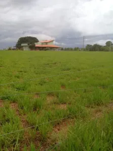 Lote/Terreno à venda, 3151m² no Centro, Presidente Prudente