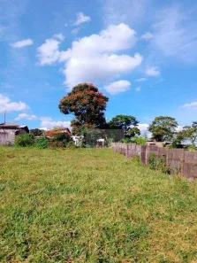 Lote/Terreno à venda, 10000m² no Jardim Primavera, Cerqueira César