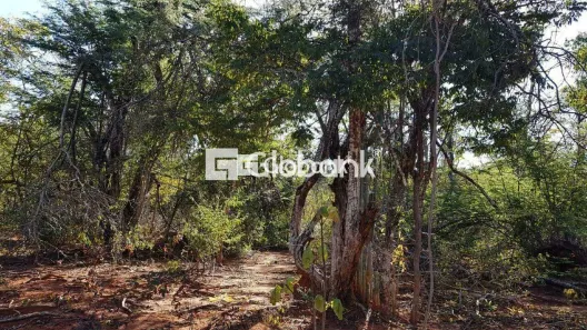 Fazenda/Sítio à venda, 12m² no Área Rural de Montes Claros, Montes Claros