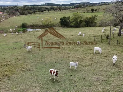 Fazenda/Sítio à venda, 72600m² no , Cesário Lange