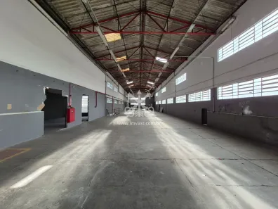 Galpão/Depósito/Armazém para alugar, 1650m² no Vila Bertioga, São Paulo