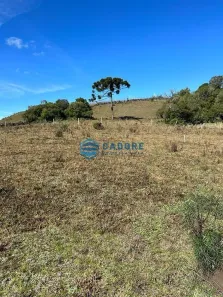 Fazenda/Sítio à venda, 20000m² no Vila Seca, Caxias do Sul