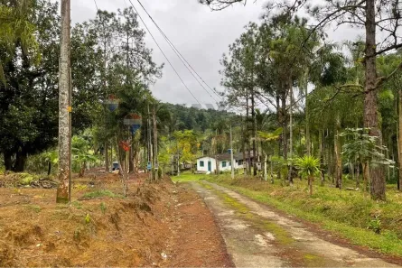 Fazenda/Sítio com 1 Quarto à venda, 20840m² no Serrote, Registro