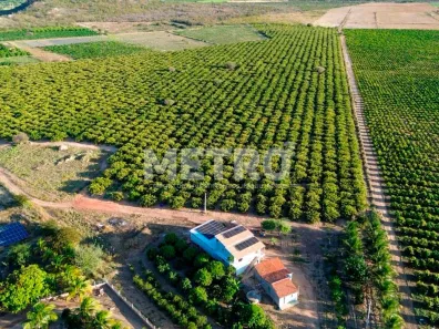 Fazenda/Sítio à venda, 145000m² no Sobradinho, Sobradinho