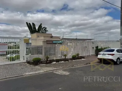 Apartamento com 3 Quartos à venda, 60m² no Residencial Parque da Fazenda, Campinas