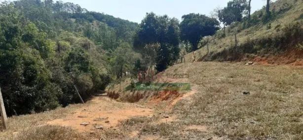 Fazenda/Sítio à venda, 40000m² no Benfica, São Luiz do Paraitinga