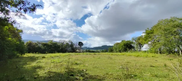 Fazenda/Sítio à venda, 30000m² no Rolante, Rolante