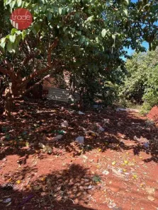 Lote/Terreno à venda, 259m² no Portal do Alto, Ribeirão Preto