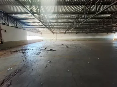 Galpão/Depósito/Armazém à venda, 3995m² no Ipiranga, Ribeirão Preto